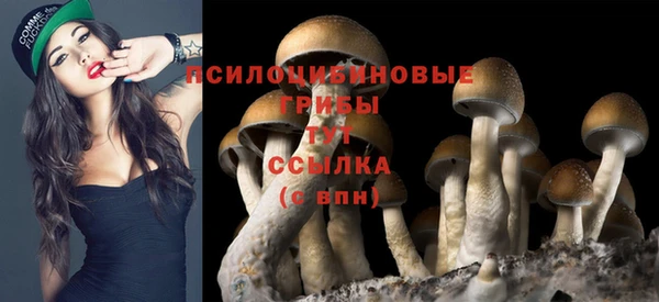 MDMA Premium VHQ Верхнеуральск
