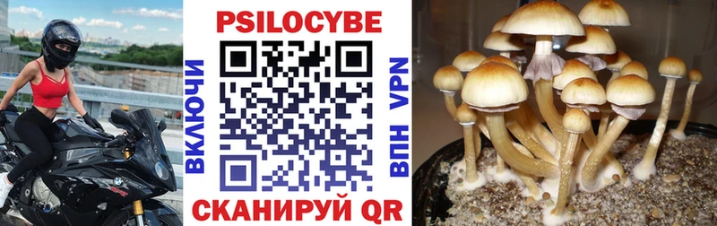 Галлюциногенные грибы Cubensis  MEGA   Завитинск 